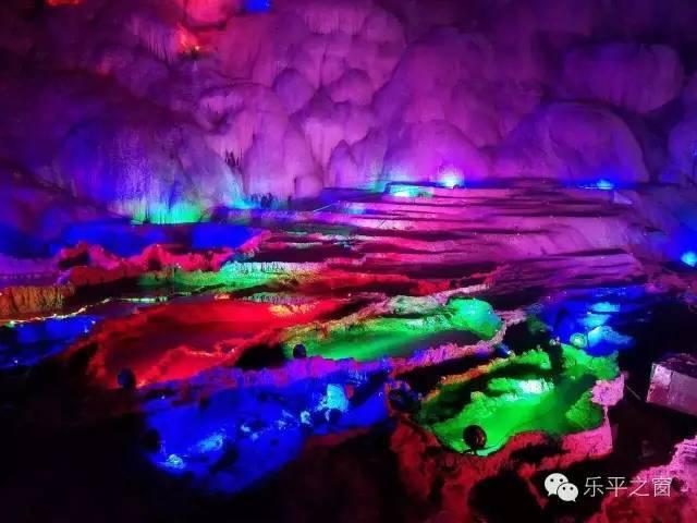虫虫助手下载
