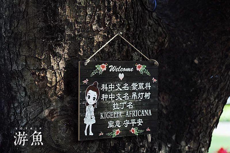 闵行这所学校前身很有来头丨闵行情