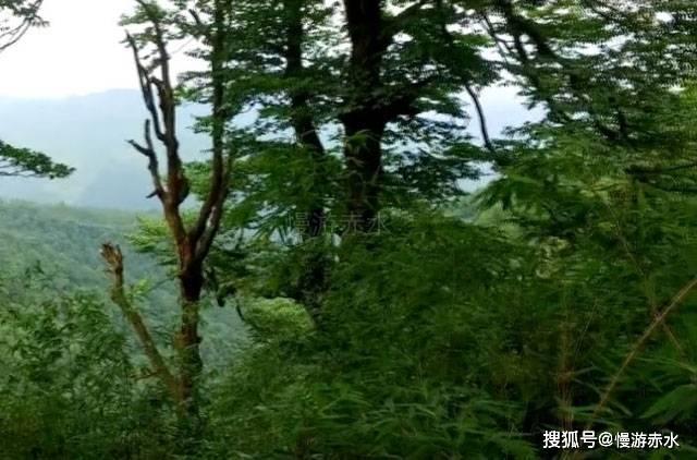 逃离原木色房屋