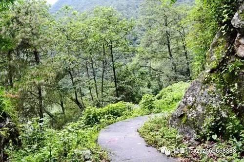 上海考警察学员舅舅醉驾拘役两个月会影响政审吗？游戏画面