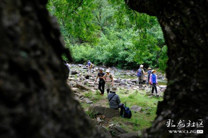 奥特曼称相信AI无法替代人类 太过重视会产生恐慌