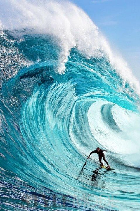 海绵宝宝寻珍宝