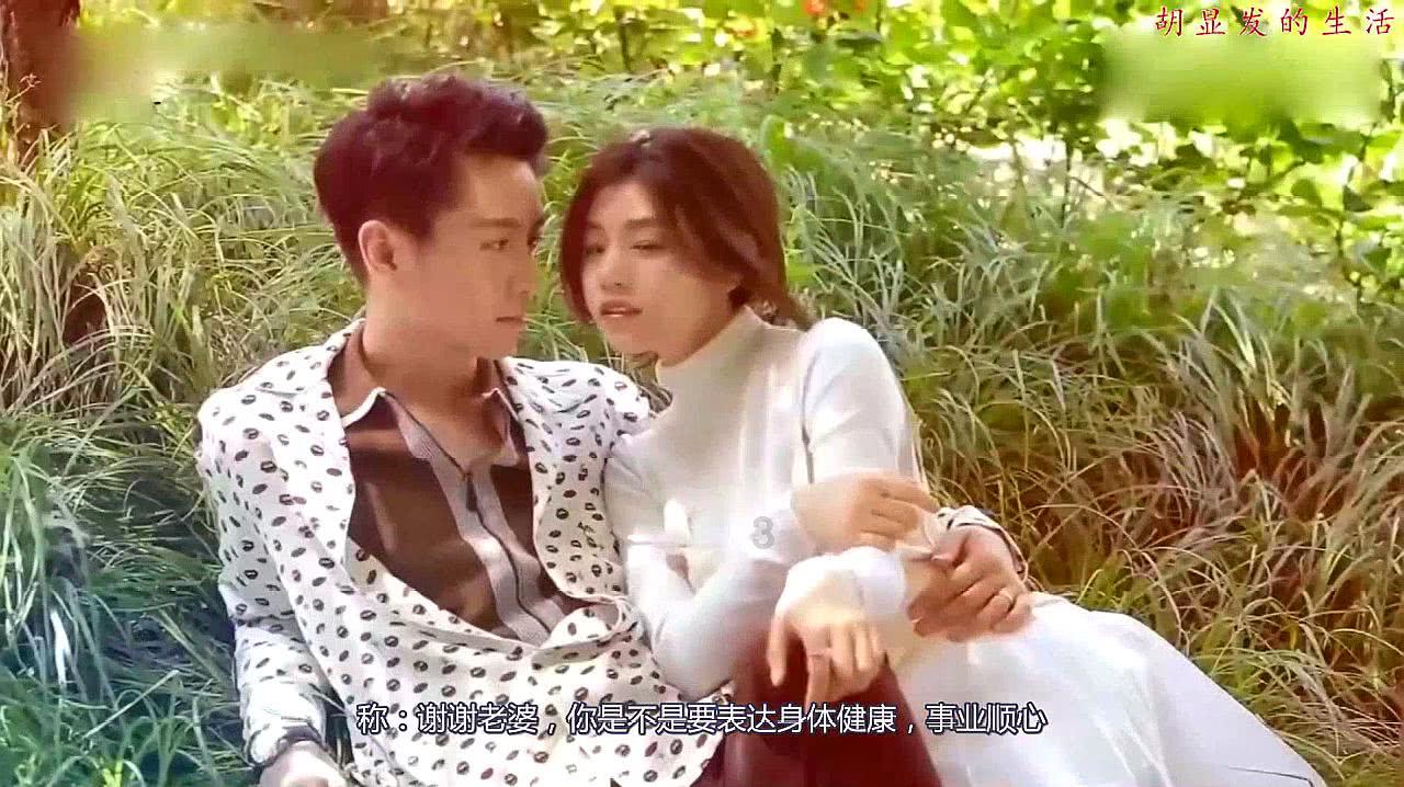 完美的收藏品
