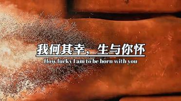 小猫钓鱼正版下载中文版