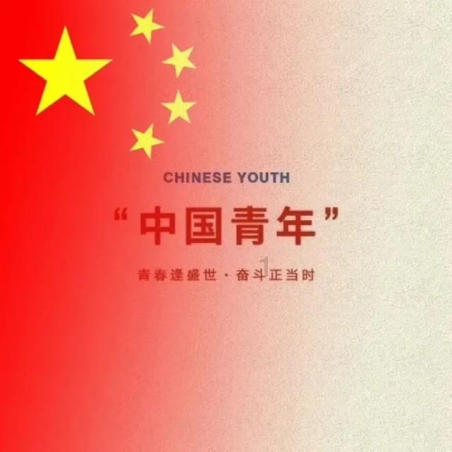 彼得比尔特379拼图
