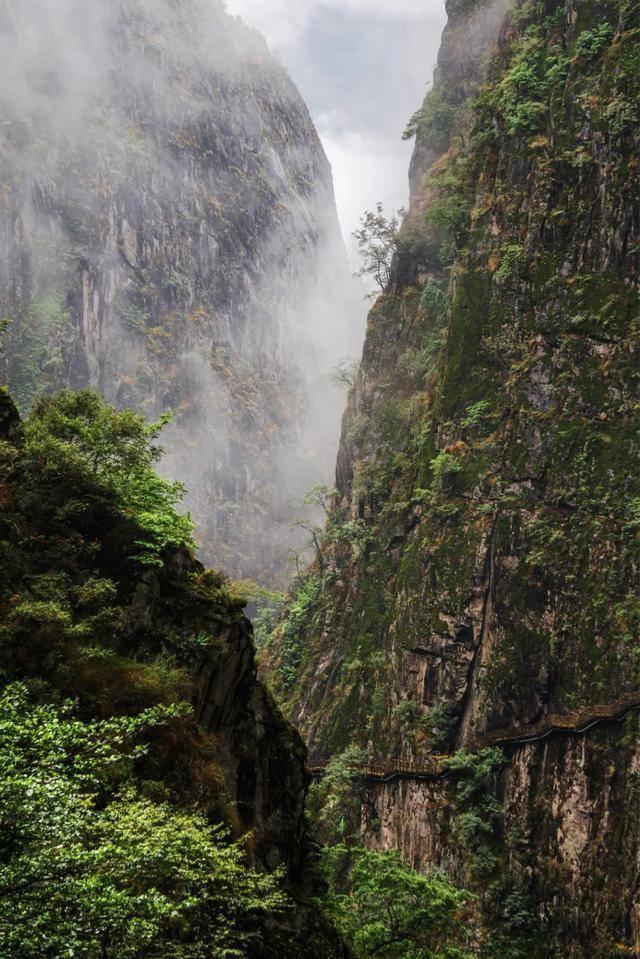 缤纷水果茶