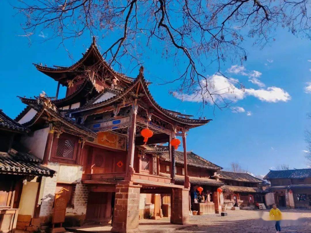 巧用“兔子战术”,杨婧茹为中国队拿下冬青奥会首金