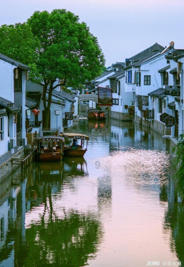 【健康】砧板发霉了?开水烫还是太阳晒?清洁不彻底可能出大事→