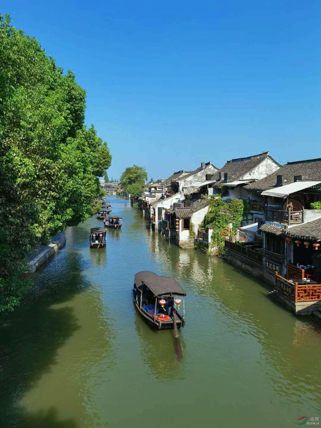 难怪段正淳命犯桃花,你看他的历史原型是谁?做他妻子有多舒服