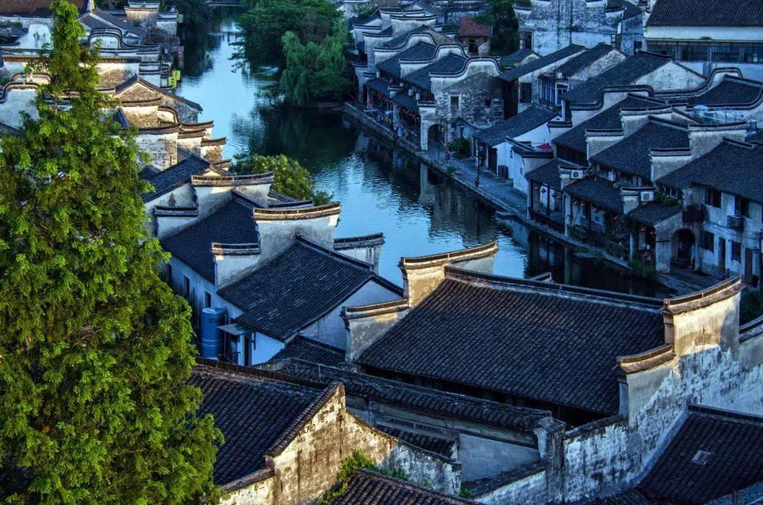 虫虫助手下载
